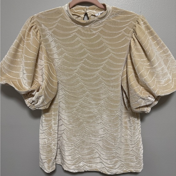 THML Tops - THML Cream Puff Sleeve Velvet Top